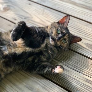 Meet your Posher, Mary